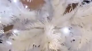 Белая елка