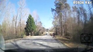 best of road rage