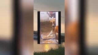 Tiktok Compilation Part 20