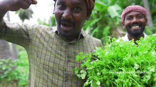 GREEN CHICKEN _ Full Chicken Cooking _ Eating _ Fried Chicken Recipe _ Chicken Green Gravy Recipe(720P_HD).mp4