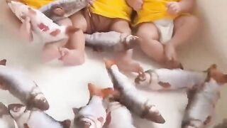 Funny Moments Of The Year Compilation ????????????