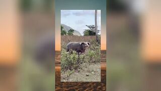 Tiktok Compilation Part 23