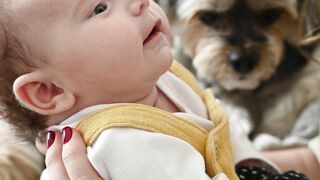 "Paws and Play: Animal Fun for Kids"