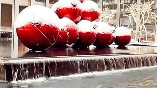 New York 8