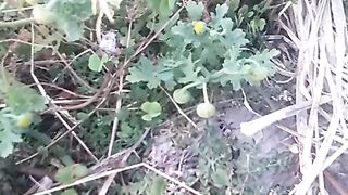 Animal lovers