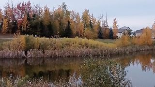Canada beauty 3