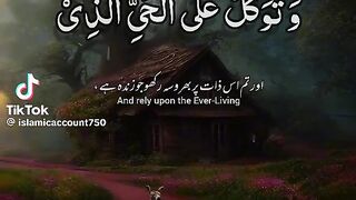 Tilawat e Quran 8