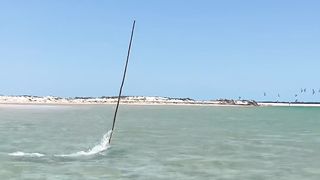 Fisher lowly