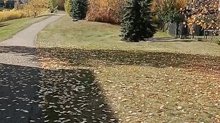 Canada beauty 9