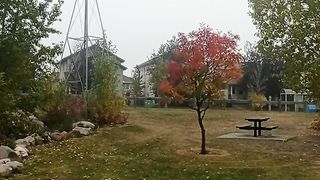 Canada beauty 15