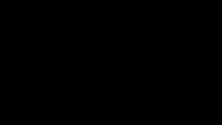 Flor salvaje 63