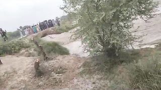 Afsos hoa