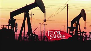 Flor salvaje 65