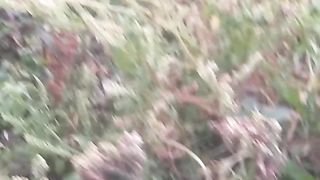 Animal lovers