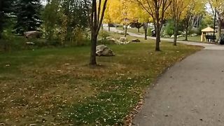 Canada beauty 28