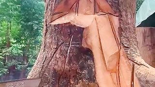 Awesome art