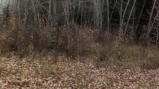 Canada beauty 32