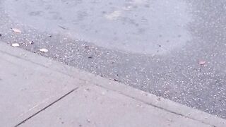View of rain in Alberta