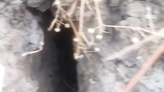 Animal lovers