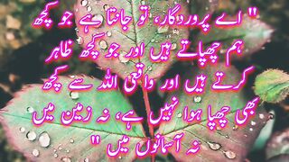 Quran Translation In Urdu | Surah Ibrahim |Quran Quotes