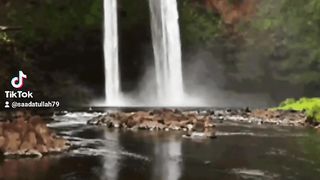 Viral video 55