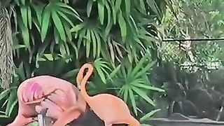 Lamtango