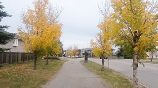 Walk in best weather