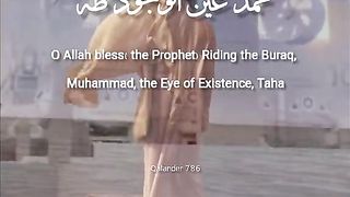 video 245