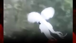 Mistery videos 3
