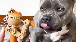 Приколи 441
