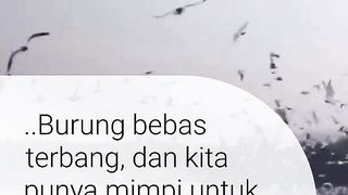 Bebas seperti burung
