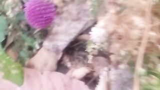Animal lovers