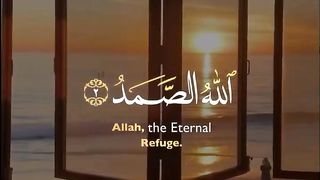 Reading the verses of Allah 29