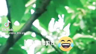 Mezzada
