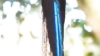 Beautiful bird 16