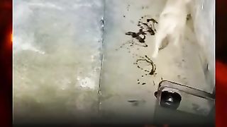 Mistery videos 4