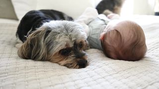 "How to Create a Baby-Friendly Nursery"