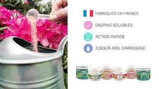 Plantes magiques de Madagascar qui guérissent les cancers