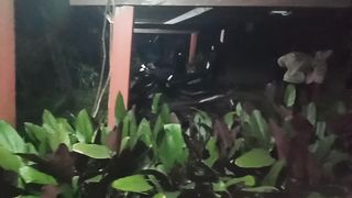 Gladiresik part 2