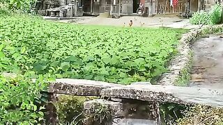 farmer lifestyle in rural countryside . . .