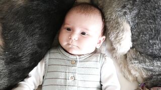 "Family Harmony: Celebrating Baby and Kids"