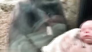 Материнская любовь