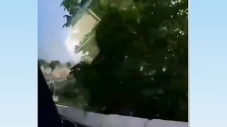 Матеватсия