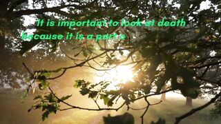 Live Quotes of the day