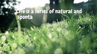 Quotes of the day #5