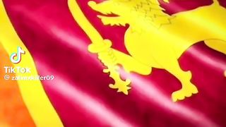 CWC2023