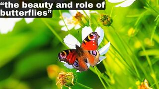 “the beauty and role of butterflies”