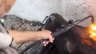 Cooking beef head