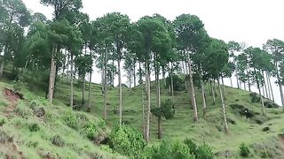 #nice view #beautiful view #muree #
