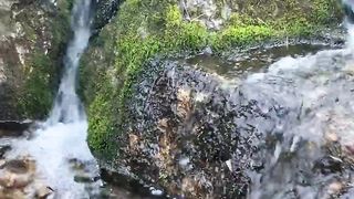 Natural video 37